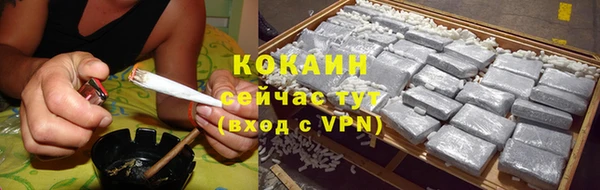 дживик Бородино