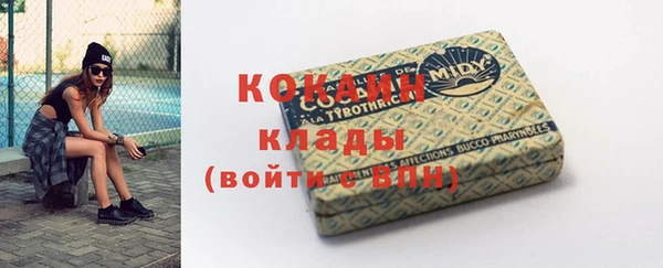 индика Богородск