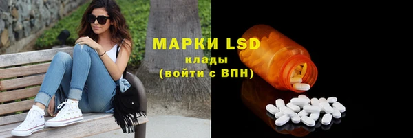шишки Богданович