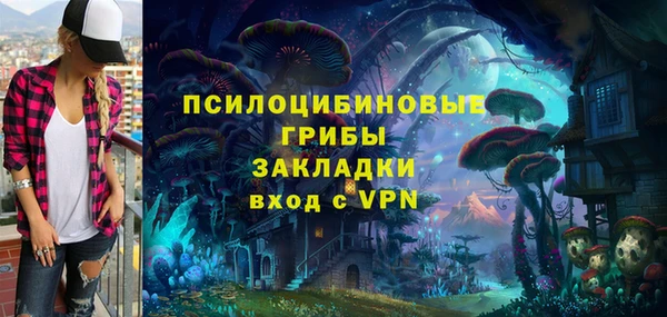 дживик Бородино