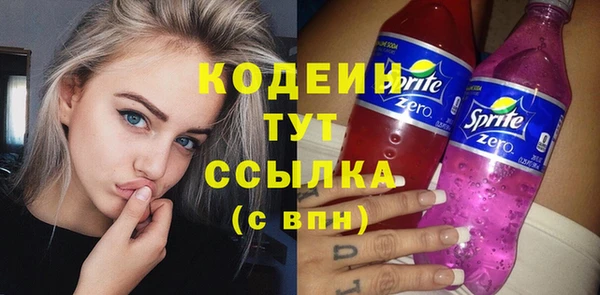 крисы Богородицк