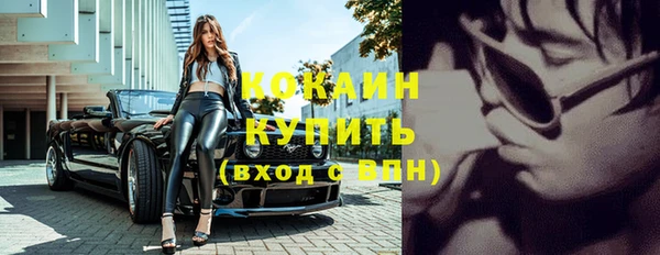крисы Богородицк