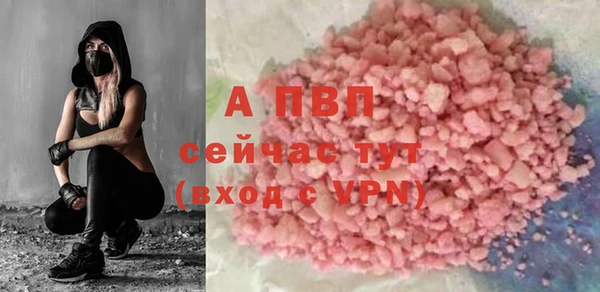 крисы Богородицк