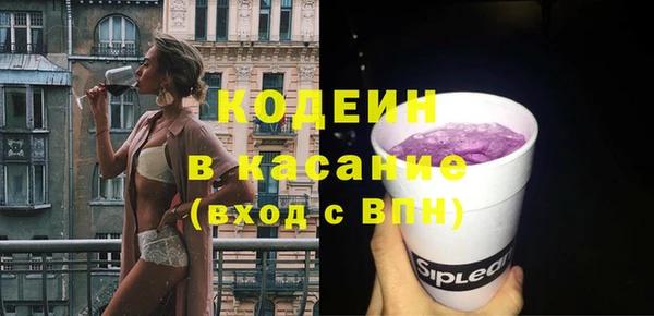 дживик Бородино