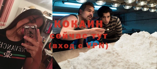 шишки Богданович