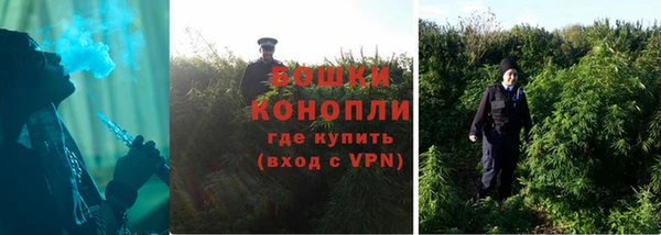 индика Богородск