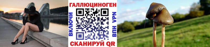 Псилоцибиновые грибы мицелий  где продают наркотики  Зубцов 