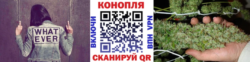 Марихуана сатива  Зубцов 